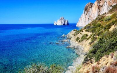 Le climat méditerranéen et ses insectes : comprendre pour mieux agir