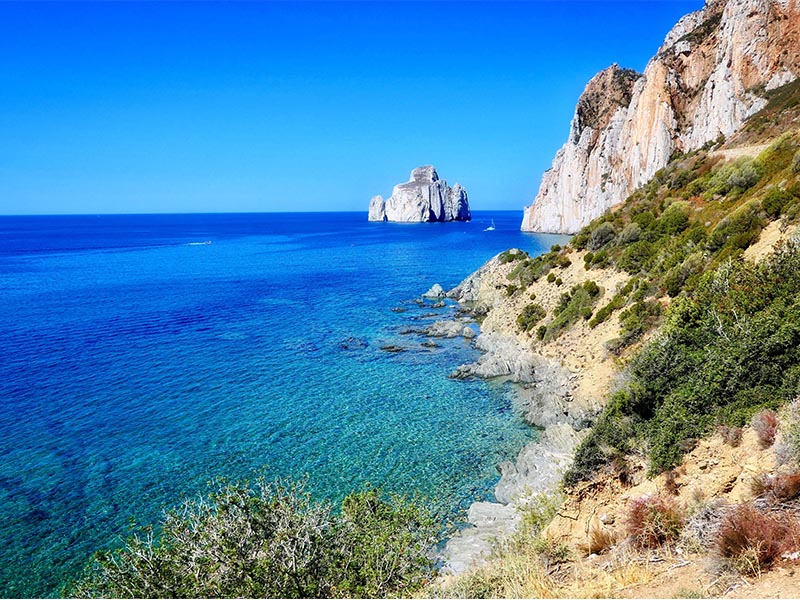 Infestation souris à Orange