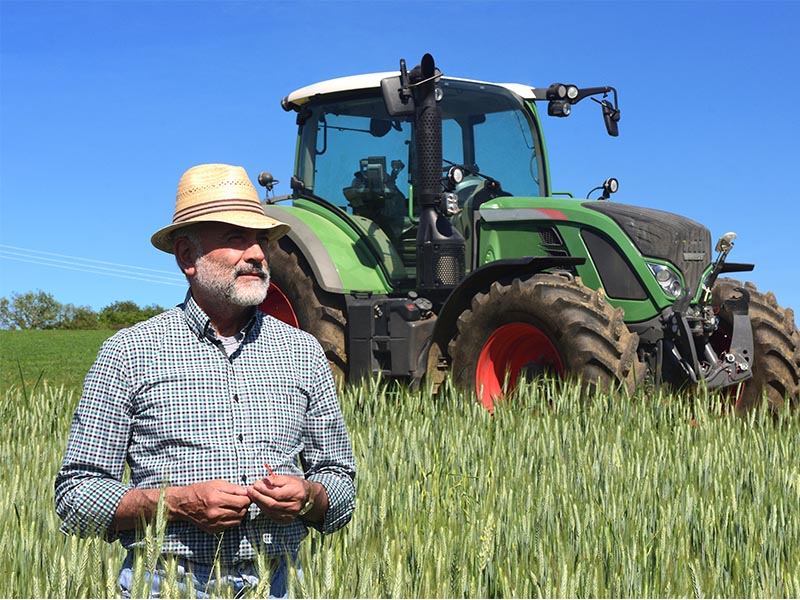 Traitement anti souris Védène