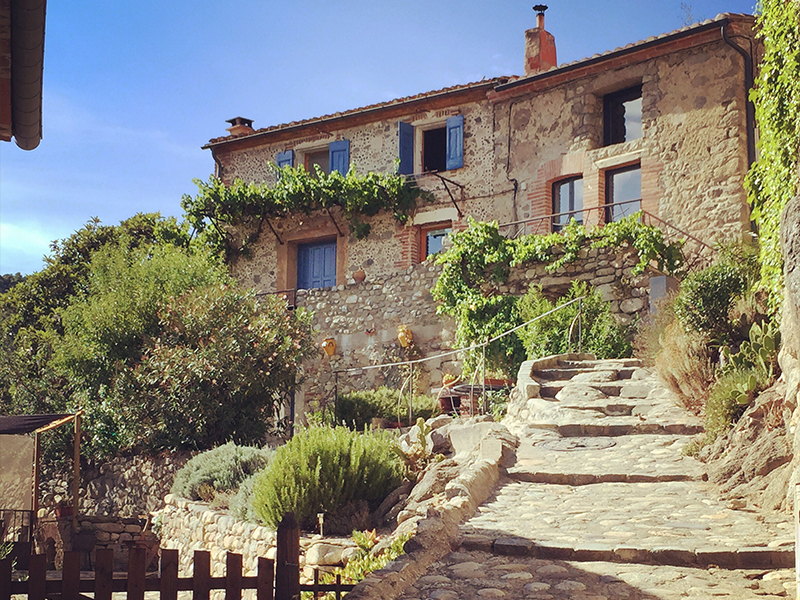 Infestation souris à Orange